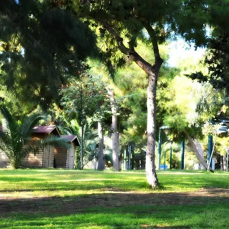 The Grove House